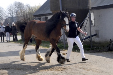 Tinkerk  ring April 19 034