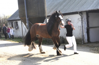 Tinkerk  ring April 19 035