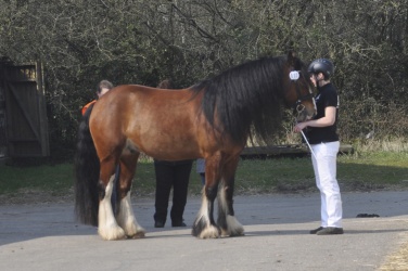 Tinkerk  ring April 19 037