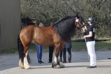 Tinkerk  ring April 19 038