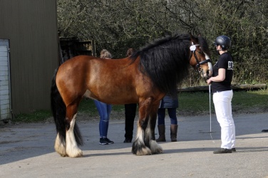 Tinkerk  ring April 19 039