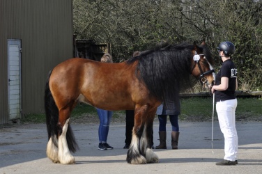 Tinkerk  ring April 19 040