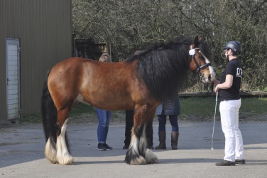 Tinkerk  ring April 19 041