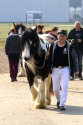 Tinkerk  ring April 19 042