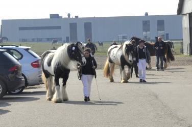 Tinkerk  ring April 19 043