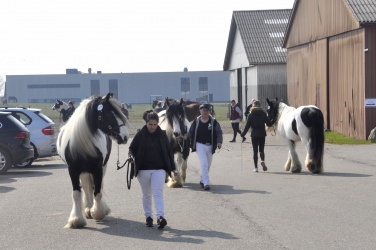 Tinkerk  ring April 19 045