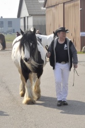 Tinkerk  ring April 19 046