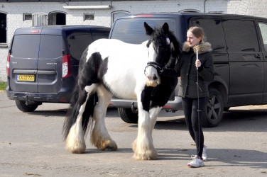 Tinkerk  ring April 19 048