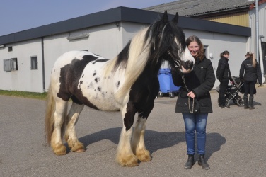 Tinkerk  ring April 19 049