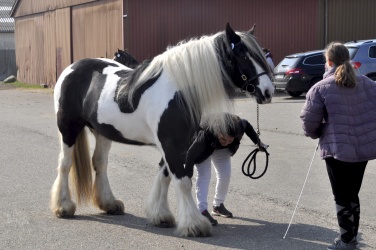 Tinkerk  ring April 19 060