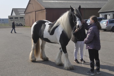 Tinkerk  ring April 19 062