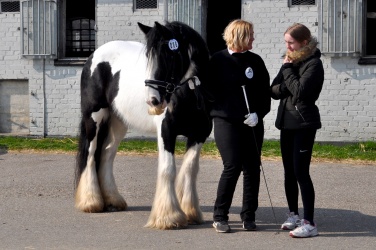 Tinkerk  ring April 19 073