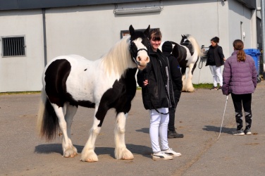 Tinkerk  ring April 19 076