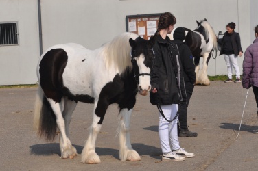 Tinkerk  ring April 19 077