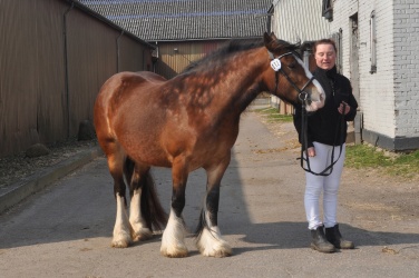 Tinkerk  ring April 19 079