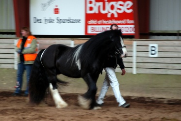 DSC 8303