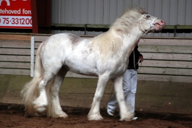 DSC 8304