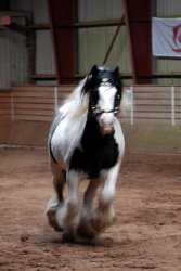 DSC 8313