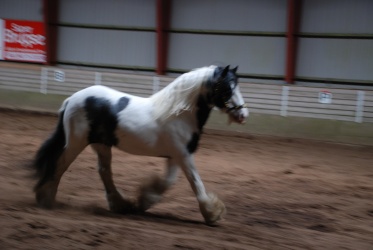 DSC 8319