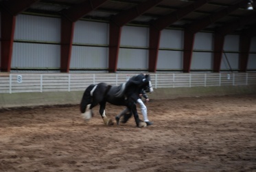 DSC 8339