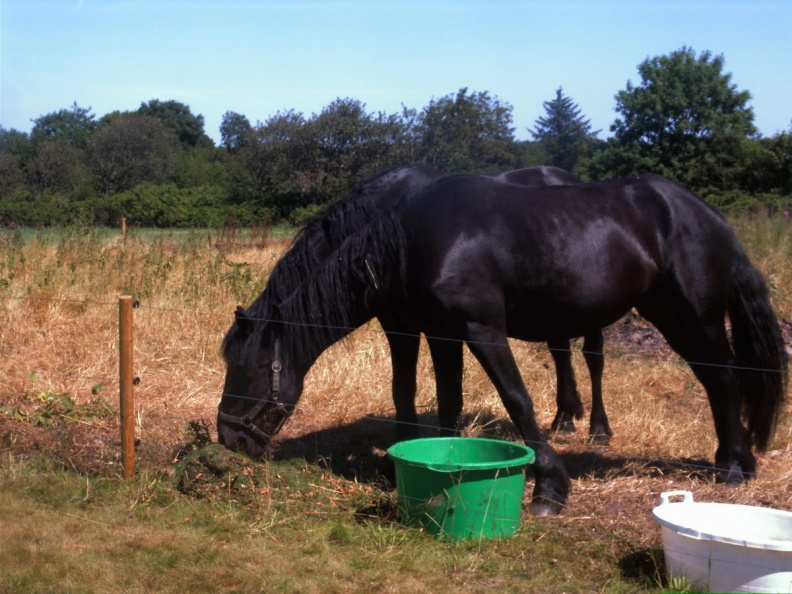 Juli2006__141_.JPG