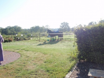 P7240691