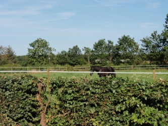 P7310754