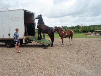 solist skal hjem  12 