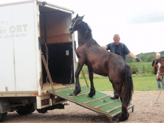 solist skal hjem  14 