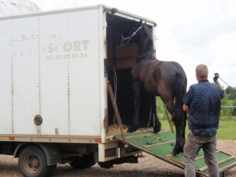 solist skal hjem  15 