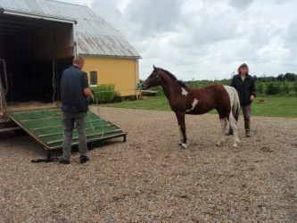 solist skal hjem  18 