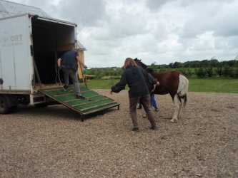 solist skal hjem  19 