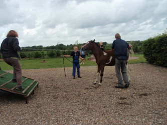 solist skal hjem  21 