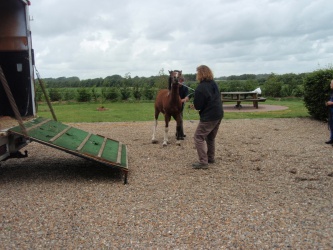 solist skal hjem  22 