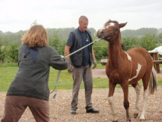 solist skal hjem  24 