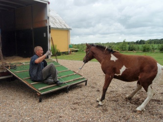 solist skal hjem  27 