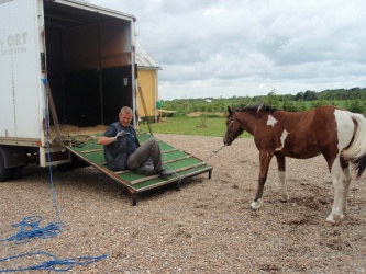 solist skal hjem  28 