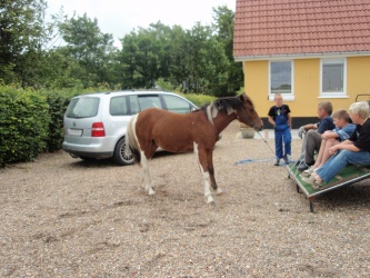solist skal hjem  29 