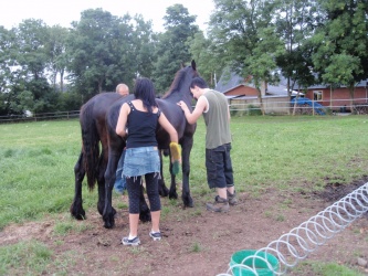 Store strigledag  12 