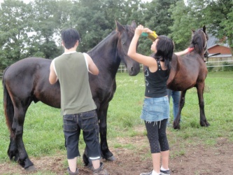 Store strigledag  13 