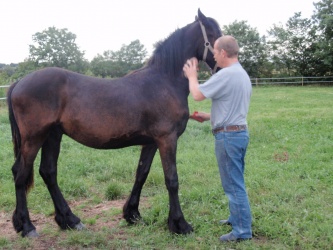 Store strigledag  14 