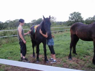 Store strigledag  17 