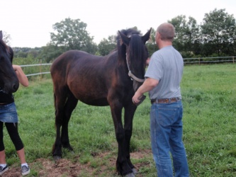 Store strigledag  18 