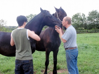 Store strigledag  19 