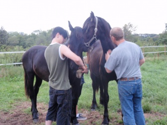 Store strigledag  20 