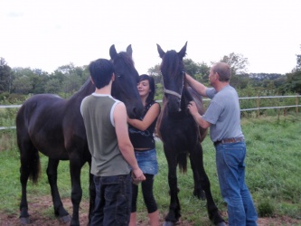 Store strigledag  21 