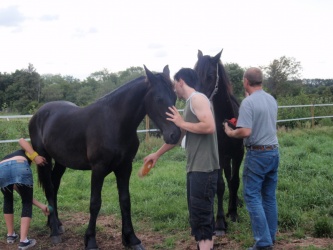 Store strigledag  23 