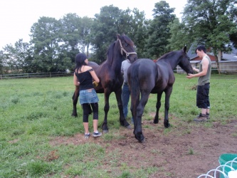 Store strigledag  25 