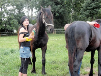 Store strigledag  26 