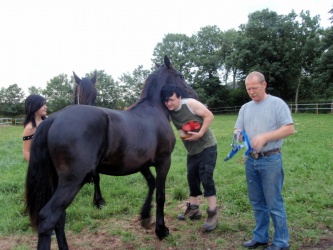 Store strigledag  28 